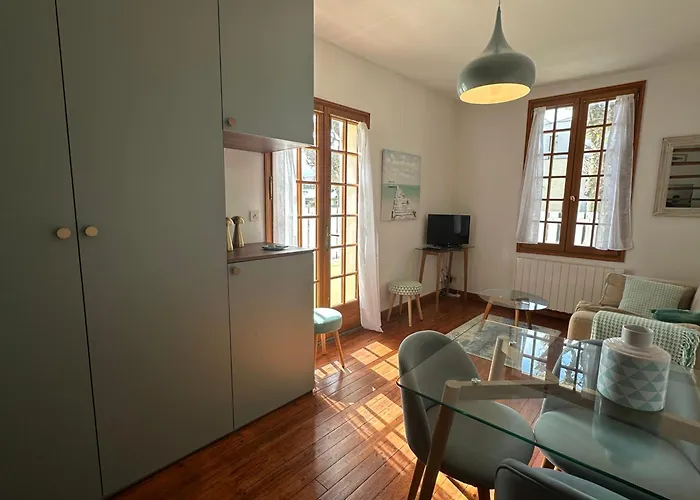 Maison Cozy Au Coeur De Avec Terrasse, Proche Plage, Pour 4 Pers., Animaux Acceptes - Fr-1-487-328 *